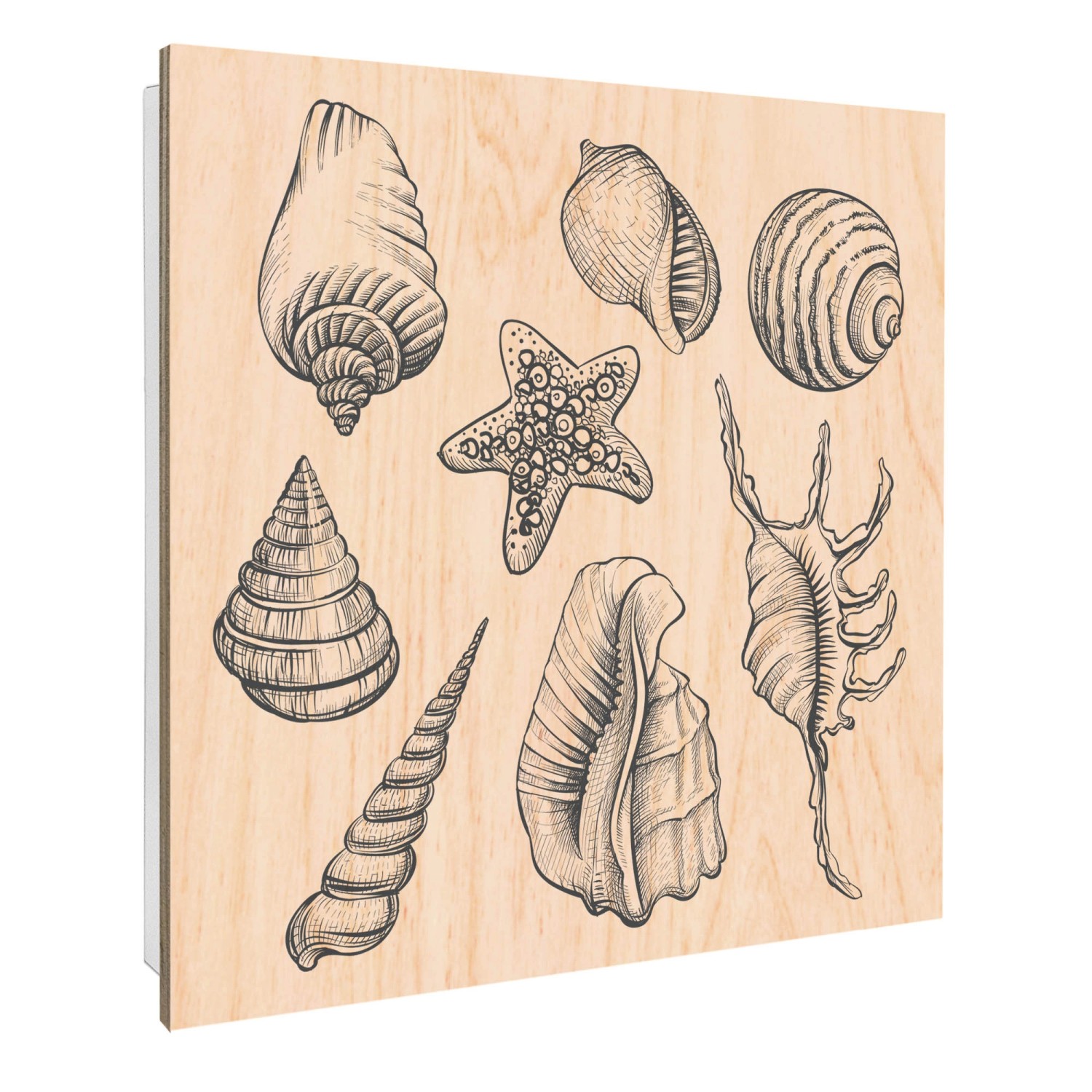 Banjado Großer Schlüsselbox Holz 30x30cm Weiß Scharnier Rechts 50 Haken Sch günstig online kaufen