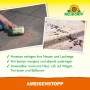 Neudorff Ameisen-Stopp Granulat zur Ameisenbekämpfung auf Wegen und Terrassen.