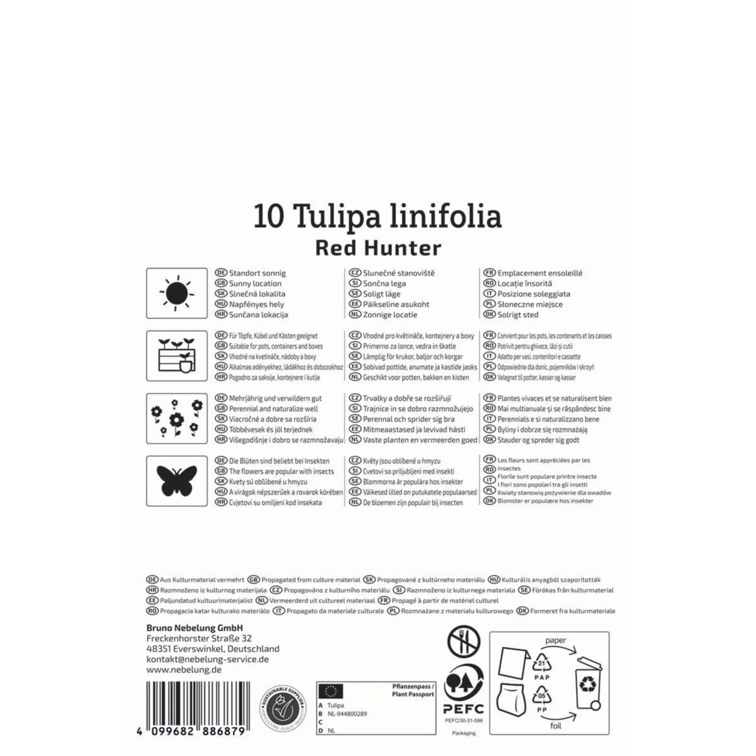 Verpackung Kiepenkerl Wildtulpe Tulipa batalinii Red Hunter mit Infos zu Standort und Eigenschaften.