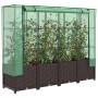 Braunes vidaXL Hochbeet mit Gewächshaus-Aufsatz in Rattan-Optik und Pflanzen.