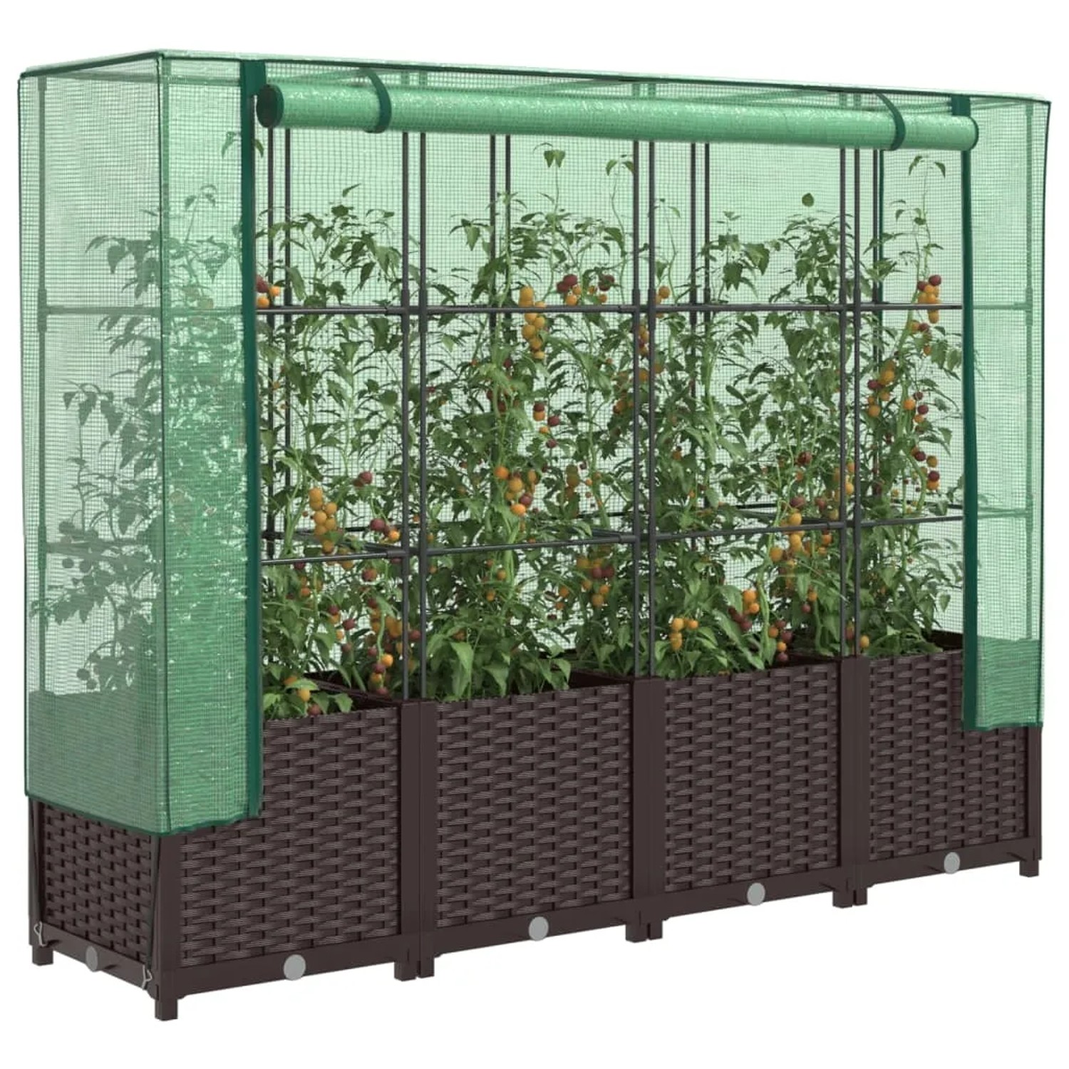 Braunes vidaXL Hochbeet mit Gewächshaus-Aufsatz in Rattan-Optik und Pflanzen.