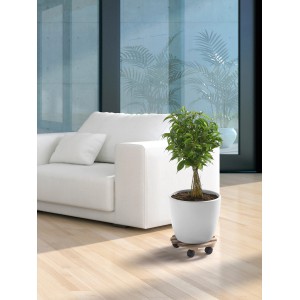 Runder Pflanzenroller aus Buche (Ø 30 cm) mit Pflanze im weißen Topf auf hellem Holzboden.