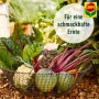 Korb mit Gemüse und Kräutern, gedüngt mit Compo Bio Gartendünger für eine reiche Ernte.