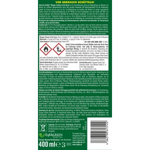Substral CF Wespenschaum & Gel Spray zur Wespenbekämpfung, 400ml Dose.