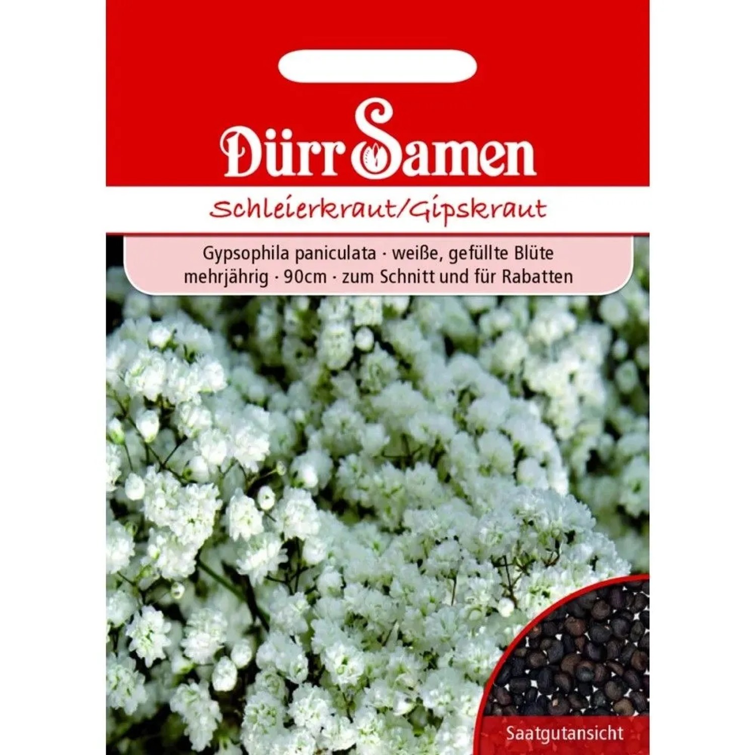 Dürr Samen Schleierkraut Gefüllt Weiße Blüten Mehrjährig Saatgut