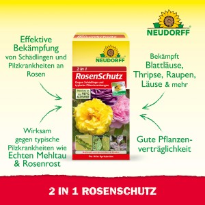 Neudorff 2in1 Rosenschutz Set: Kombipack zur Bekämpfung von Schädlingen und Pilzkrankheiten an Rosen.