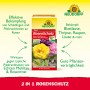 Neudorff 2in1 Rosenschutz Set: Kombipack zur Bekämpfung von Schädlingen und Pilzkrankheiten an Rosen.