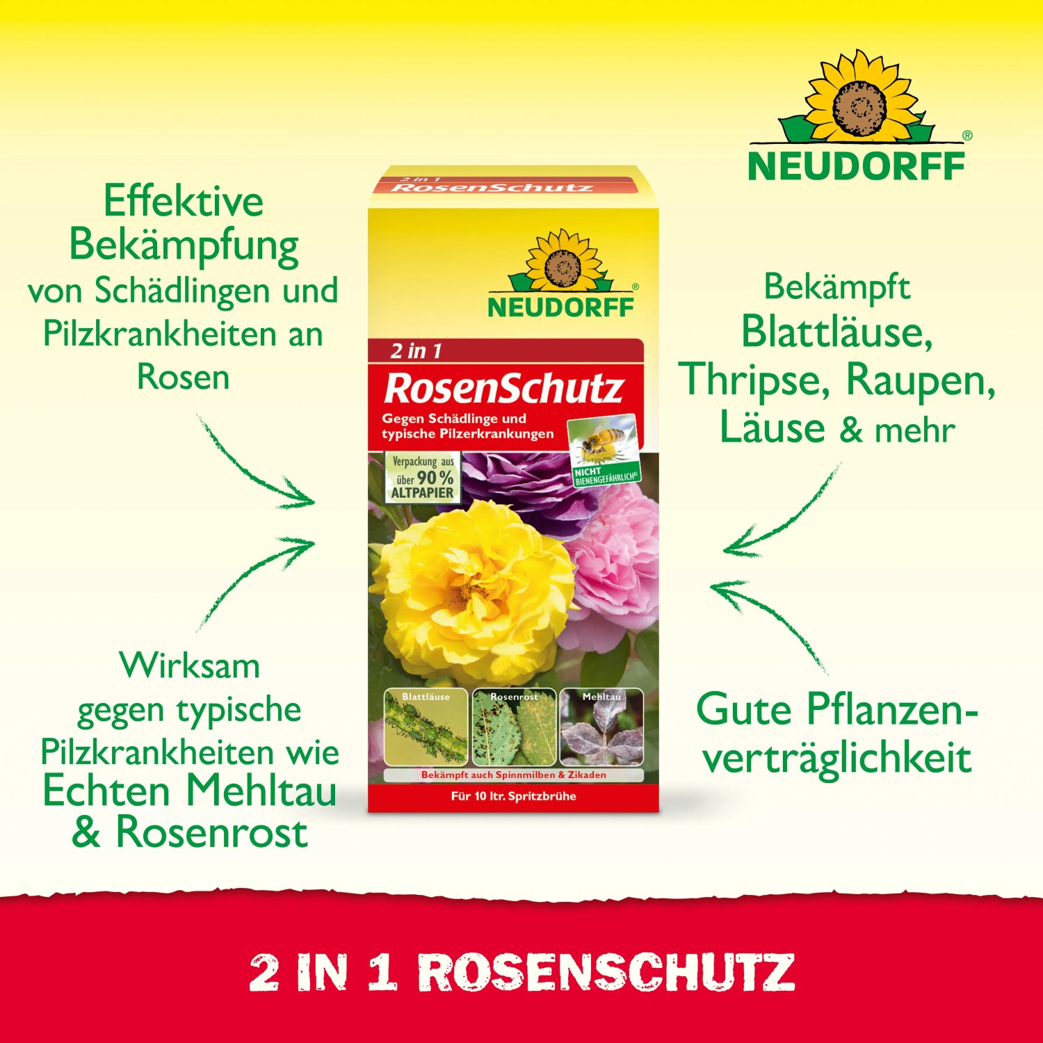 Neudorff 2in1 Rosenschutz Set: Kombipack zur Bekämpfung von Schädlingen und Pilzkrankheiten an Rosen.