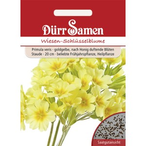 Dürr Samen Wiesen-Schlüsselblume: Goldgelbe Blüten für Garten & Wiese. Saatgut für bienenfreundliche Blumen.
