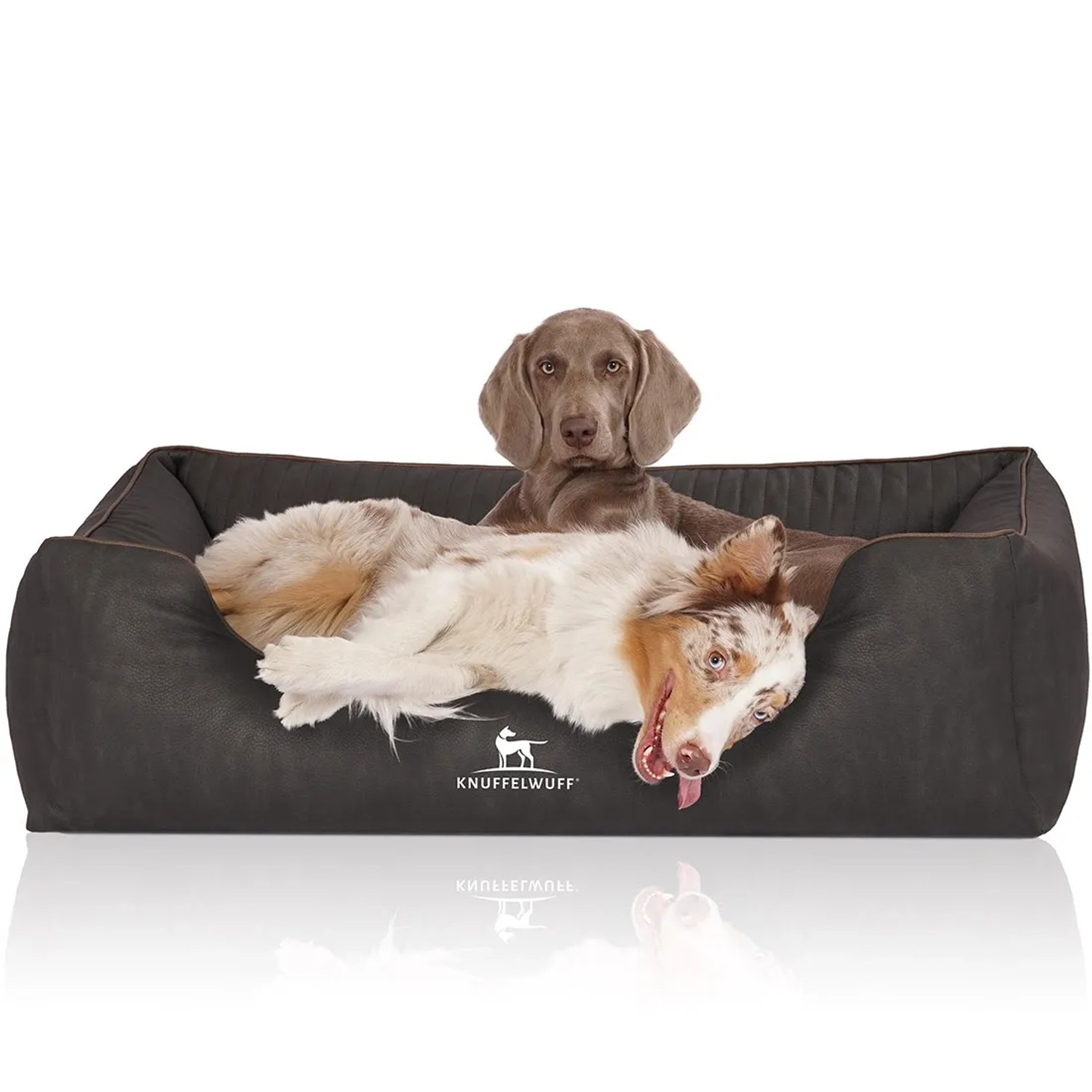 Zwei Hunde entspannen im schwarzen Knuffelwuff Hundebett Tampa XXL aus Kunstleder.