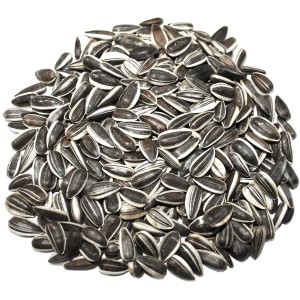 Sonnenblumenkerne mit Schale, Vogelfutter für Wildvögel, 20kg.