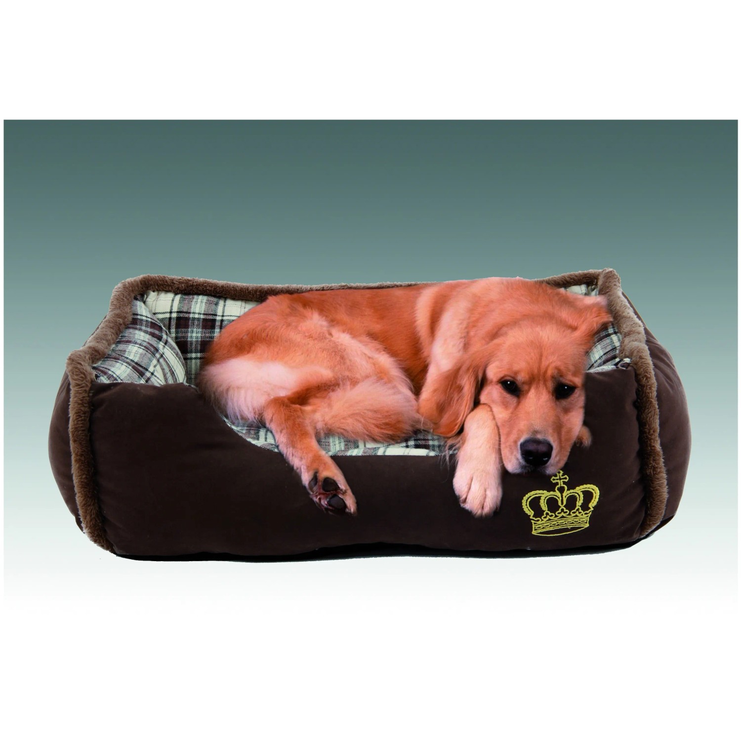 Hund liegt entspannt im braunen Heimtierbett "Krone" mit kariertem Innenmuster und goldener Krone.