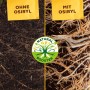 Vergleich: Wurzelwachstum mit/ohne Solabiol Rhododendron- & Hortensiendünger (mit Osiryl)