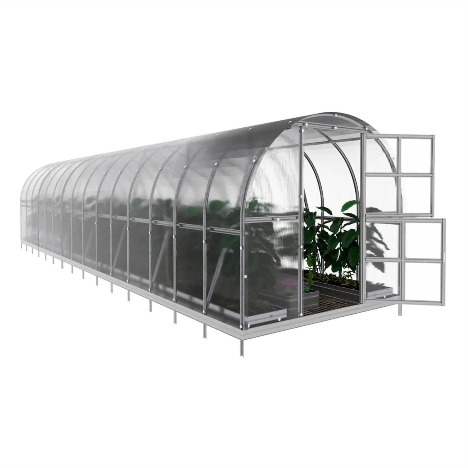 Gewächshaus Klasika Arch 30m² mit Polycarbonatabdeckung und geöffneten Fenstern.