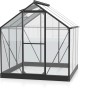 Vitavia Gewächshaus Triton 3800 ESG, schwarzer Rahmen, Glas, mit Dachfenster.