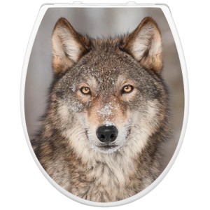 Banjado WC-Sitz mit Wolfsmotiv Soraya, Familien WC-Sitz mit Absenkautomatik.