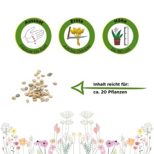 Stabtomate Goldene Königin Samen mit Infos zu Aussaat, Ernte, 180cm Höhe und 20 Pflanzen Inhalt.