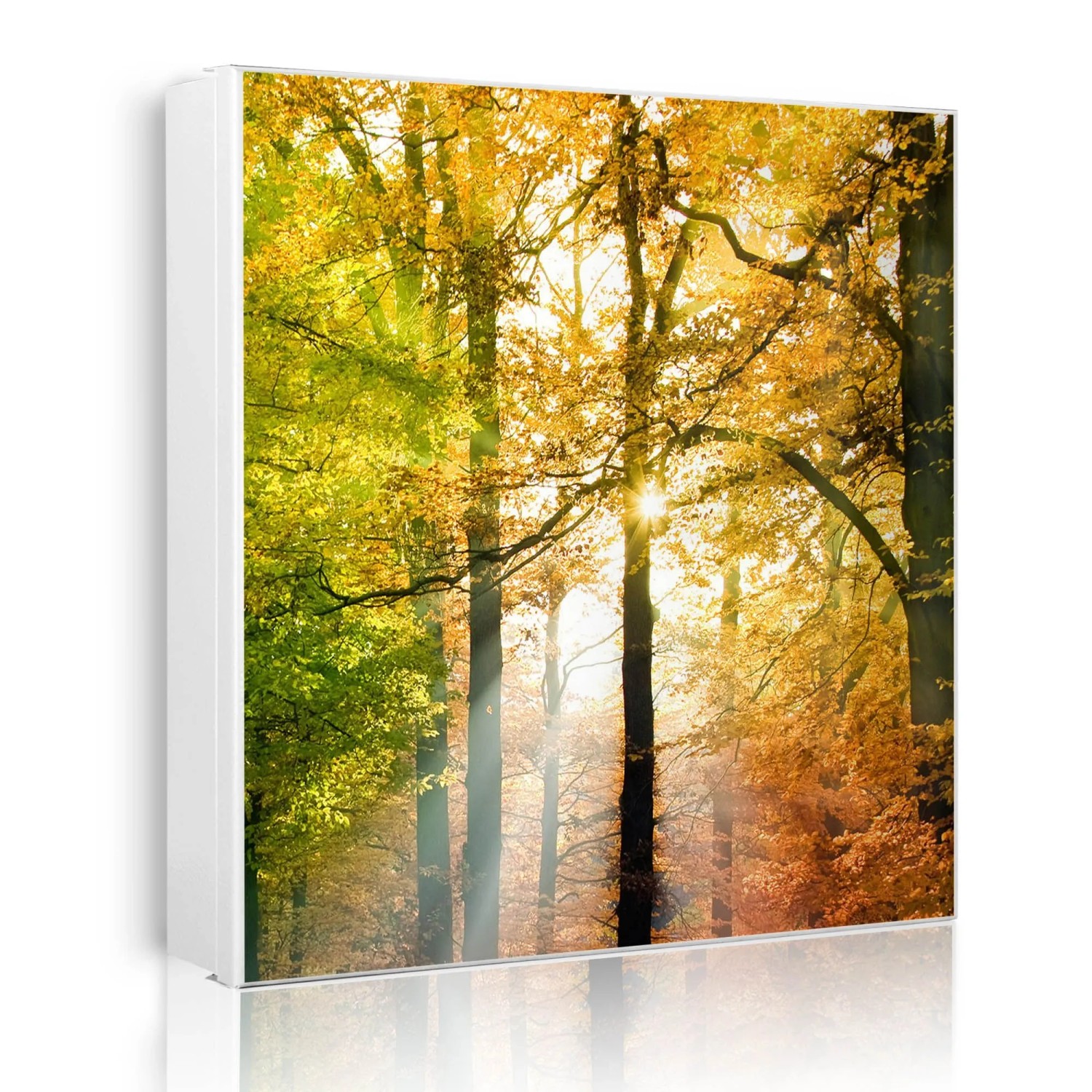 Banjado Großer Schlüsselkasten Metall 30x30cm Weiß Scharnier Rechts 50 Haken Beschreibbar Magnetisch Motiv Herbstwald