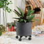 Schwarzer Wagner Design Pflanzenroller GH 0916, Ø 30 cm, mit Pflanze auf Teppich.