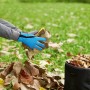 Allwetterhandschuh Gr. 9 in Aktion: Hände sammeln Laub im Garten.