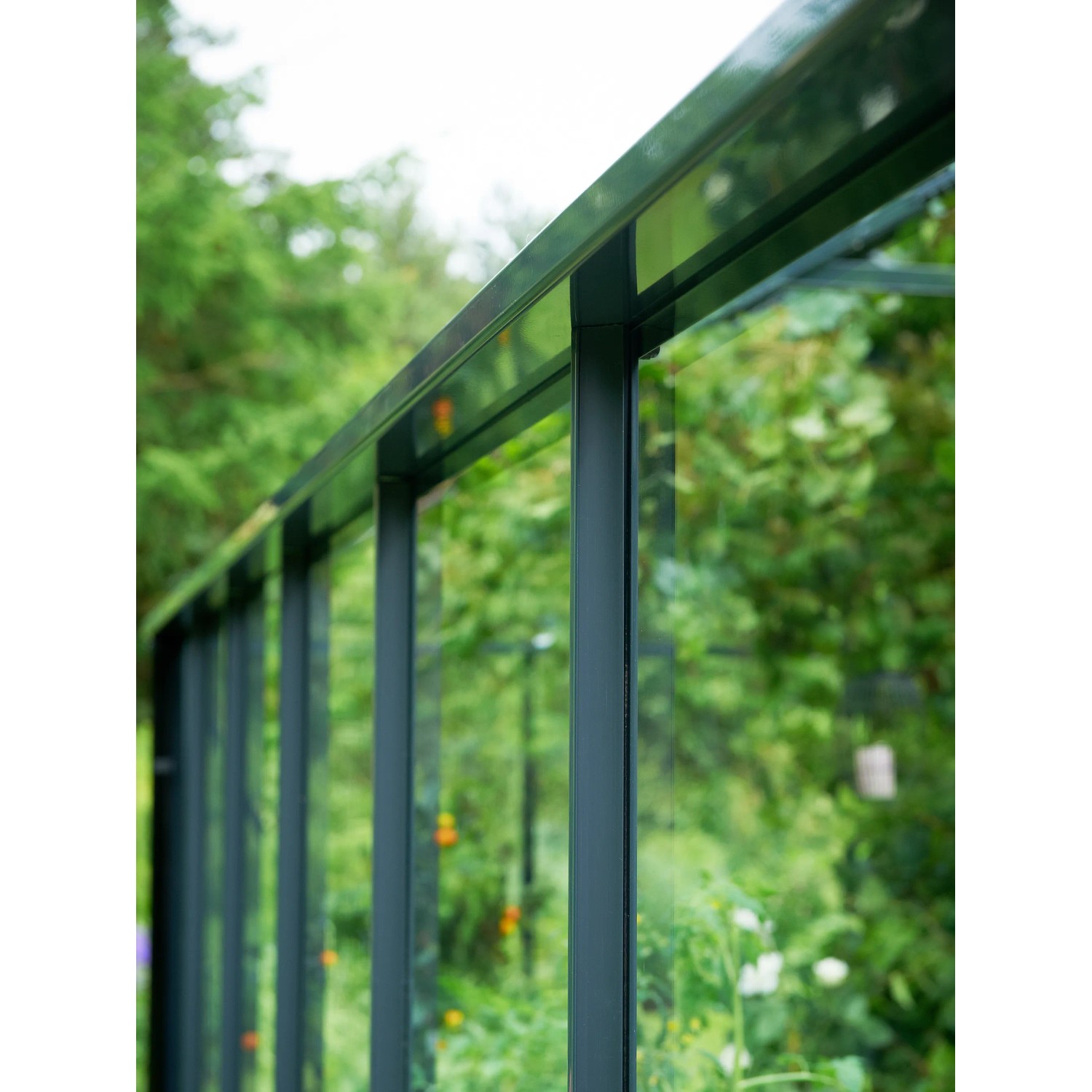Detailansicht des Juliana Gewächshaus Compact 5 Anthrazit, Fokus auf Rahmen und Glas.