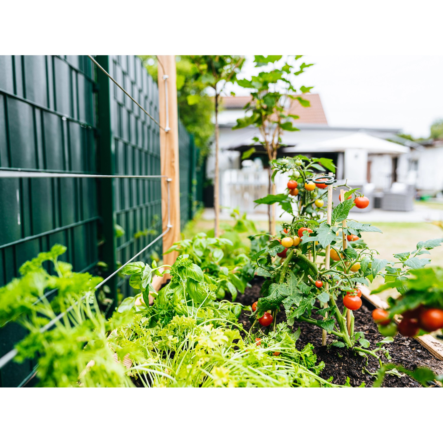 Compo Bio Tomaten und Gemüseerde torffrei kaufen bei OBI