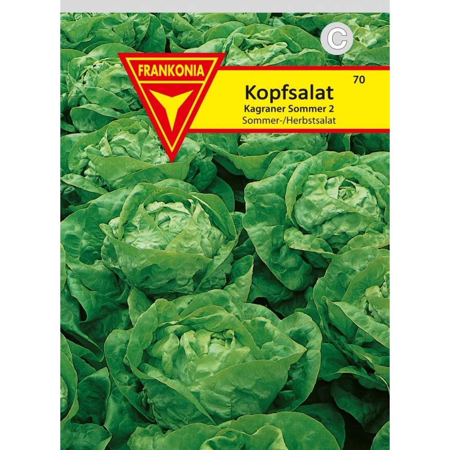 FRANKONIA Kopfsalat Kagraner Sommer 2