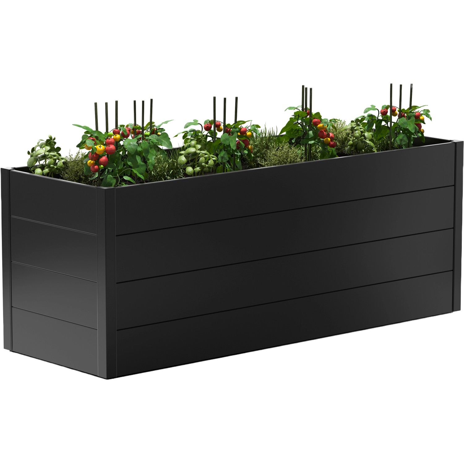 Guardi Metall-Hochbeet, 200x70x76 cm, Anthrazit, bepflanzt mit Gemüse.