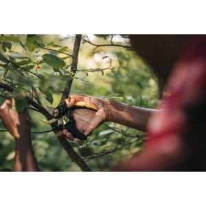 Fiskars Gartenschere P721 im Einsatz beim Schneiden eines Astes im Garten.