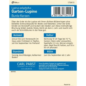 Pabst Keimkraft Lupine Bunte Kerzen Saatgut Packung, mehrjährige Bauerngartenpflanze.