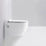 Wandhängendes Dusch-WC Glasdeals mit Taharet Armatur und SoftClose Sitz.