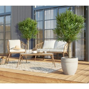 Oleander Stamm XXL Weiß (120-140cm) im Topf, als Kübelpflanze auf einer Terrasse.