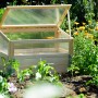 Frühbeet Pflanzbeet Größe M aus Holz mit Polycarbonat-Aufsatz im Garten.