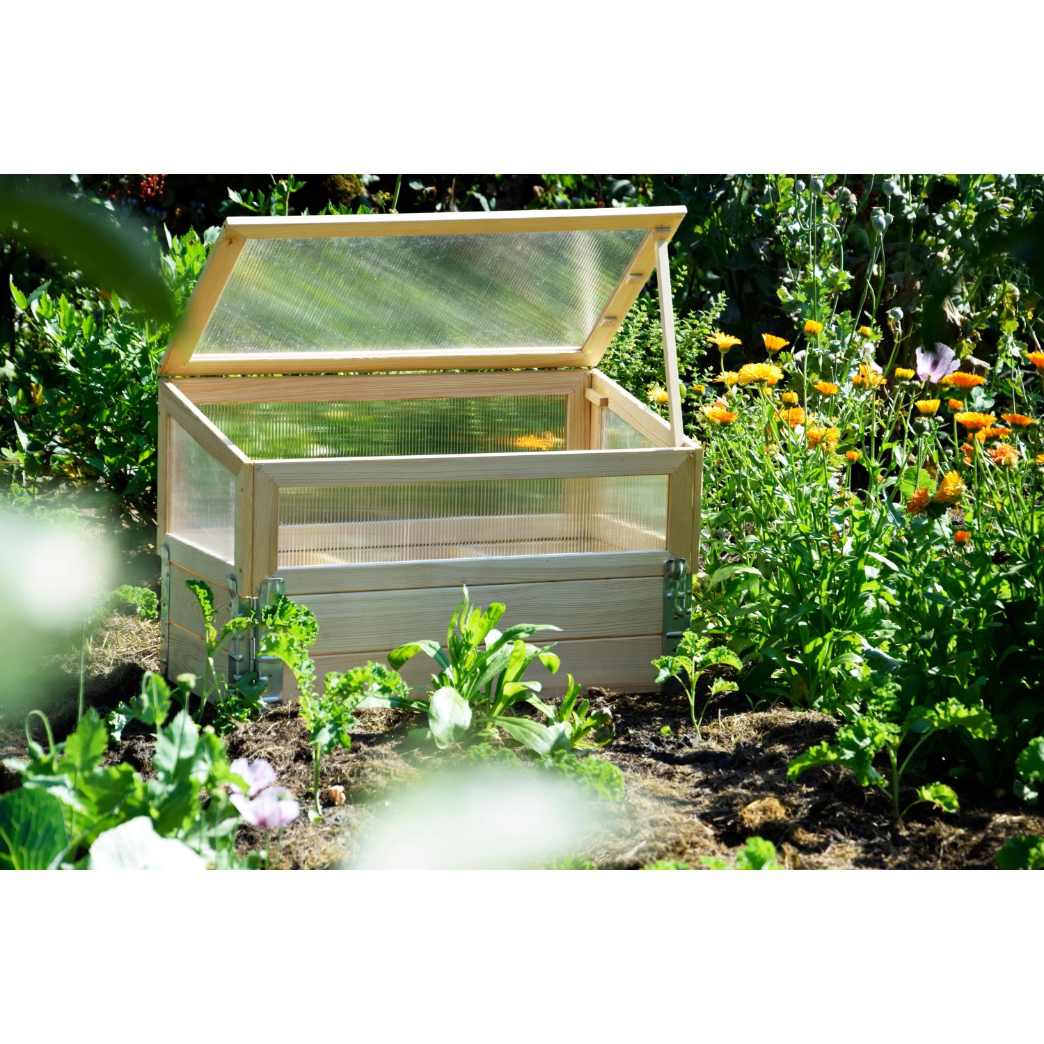 Frühbeet Pflanzbeet Größe M aus Holz mit Polycarbonat-Aufsatz im Garten.
