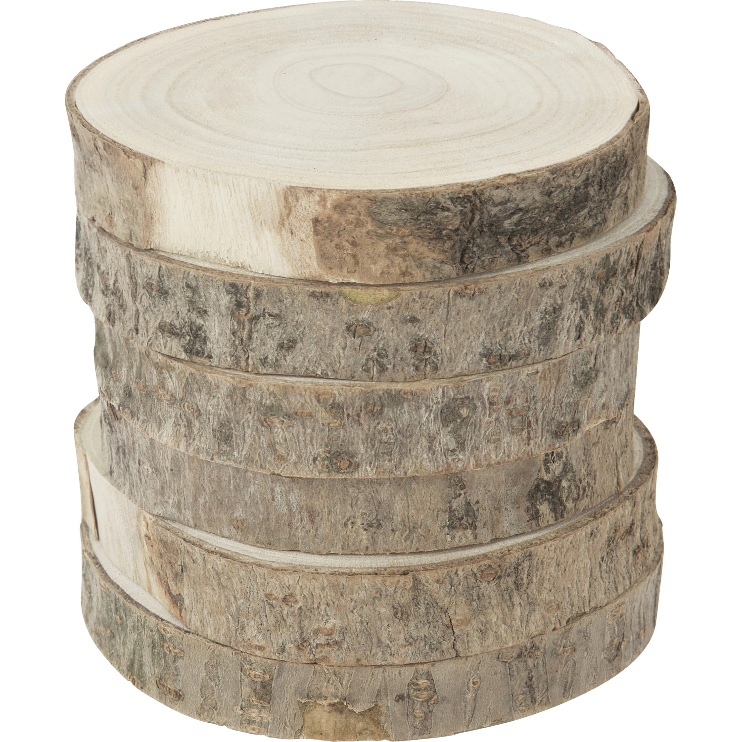Holzplatte Natura Ø 10 cm x 9,4 cm 6 Stück
