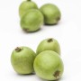 Frische, grüne Kiwibeeren (Actinidia Arguta) auf weißem Grund.
