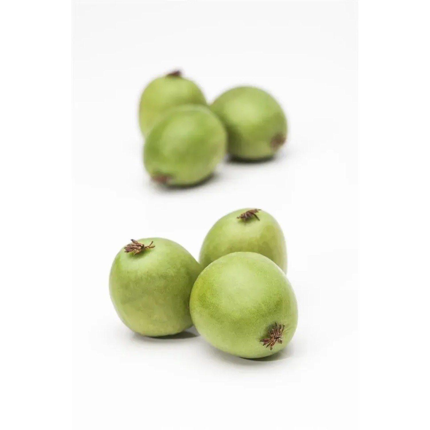 Frische, grüne Kiwibeeren (Actinidia Arguta) auf weißem Grund.