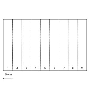 Schema der Sanders & Sanders Fototapete Landschaft Grün/Blau (450x280cm) mit 9 Bahnen à 50cm.