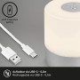 Brilo Akku-Tischleuchte Smal, chrom-matt, mit USB-Kabel. Mobile Dekoleuchte für Innen & Außen.