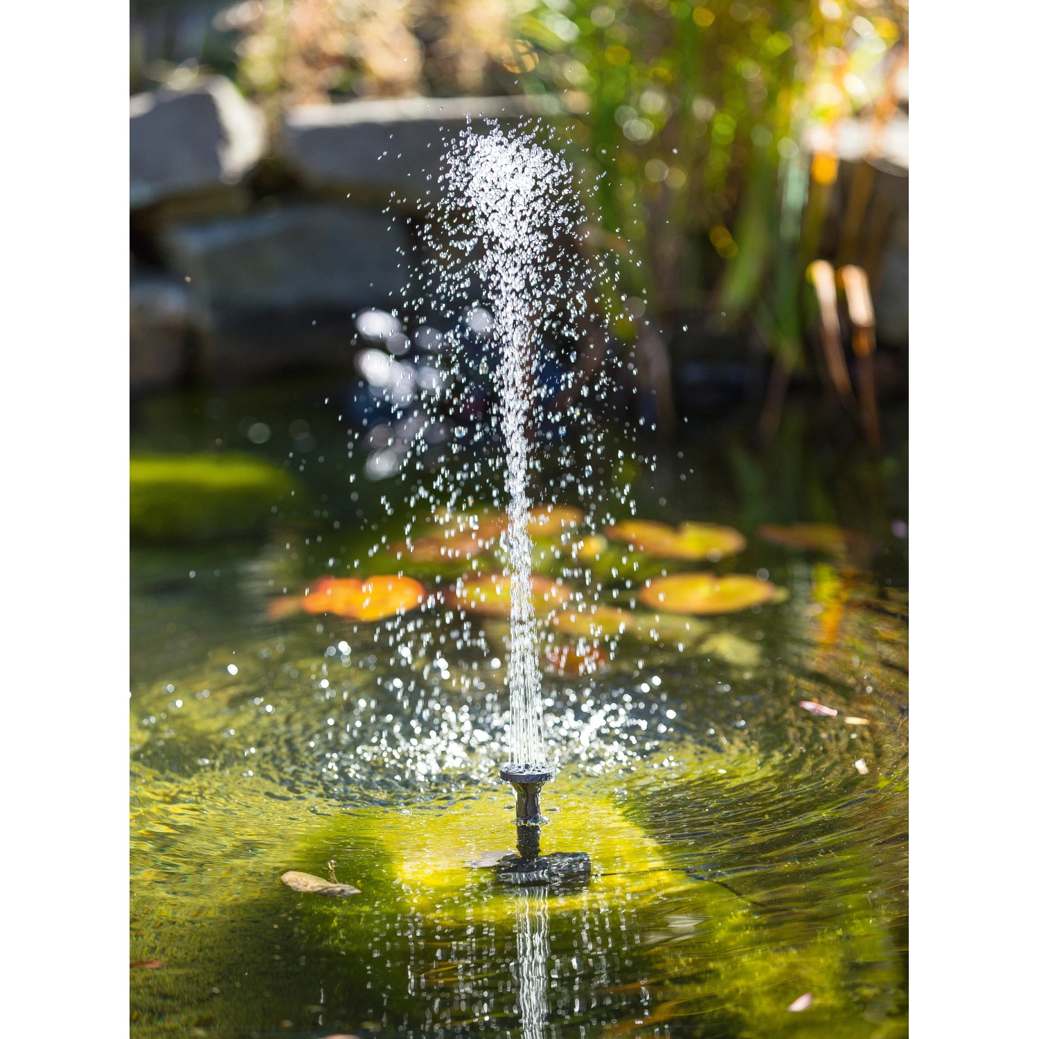 Eckige Solar Teichpumpe mit Fontäne im Gartenteich. Solarbetrieben, max. 45cm Höhe.