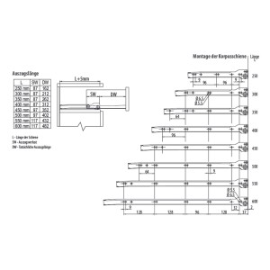 SOTECH Teilauszug 30 Kg 550 mm RT1-30-B12,5-L550-NF Weiß