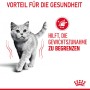 Katze frisst Royal Canin Light Weight Care Feuchtfutter gegen Übergewicht.