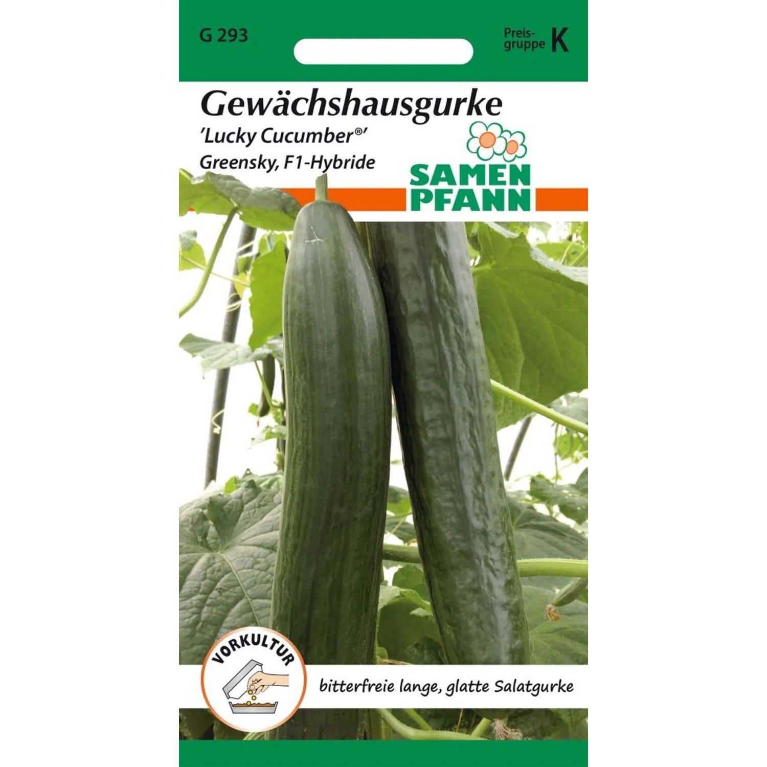 SAMEN PFANN Gewächshausgurke Lucky Cucumber Greensky F1
