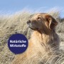 Goldener Hund im Gras, Canosept Hautpflege-Spray für Hunde. Natürliche Wirkstoffe für Fellpflege.
