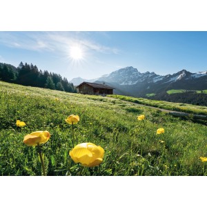 Vlies Fototapete Alpenglück: Berglandschaft mit Almhütte, Blumenwiese und schneebedeckten Gipfeln.