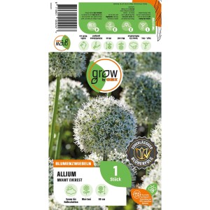 Verpackung GROW by OBI Zierlauch Mount Everest, weiße Blütenkugel, ca. 80cm hoch.