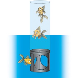 Acqua Arte Fischsäule: Teichdekoration, Fische schwimmen in transparenter Säule über Wasser.