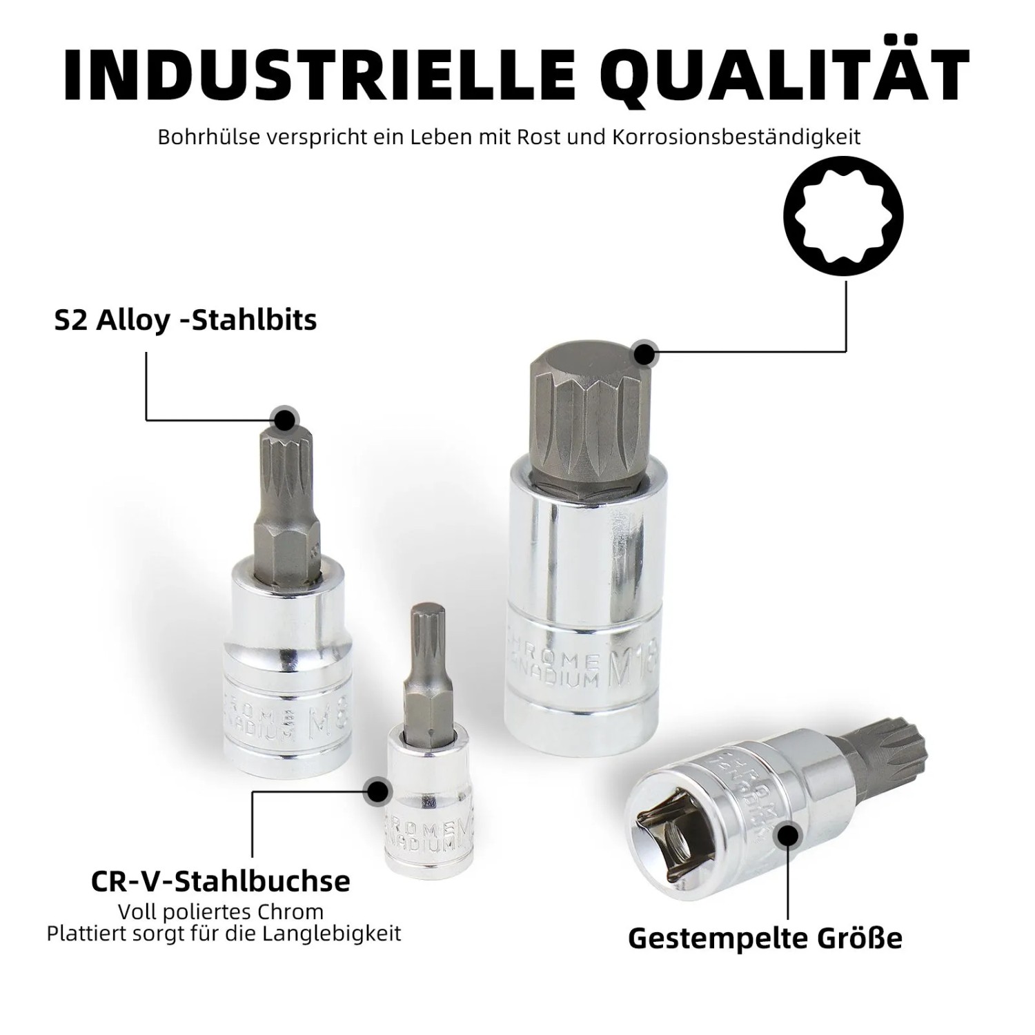 CCLIFE 10tlg Vielzahn Satz Vielzahn Nuss M4 - M18 Bit Set Xzn Innenvielzahn S2 Legierungsstahl Stecknuss Bitsatz_3
