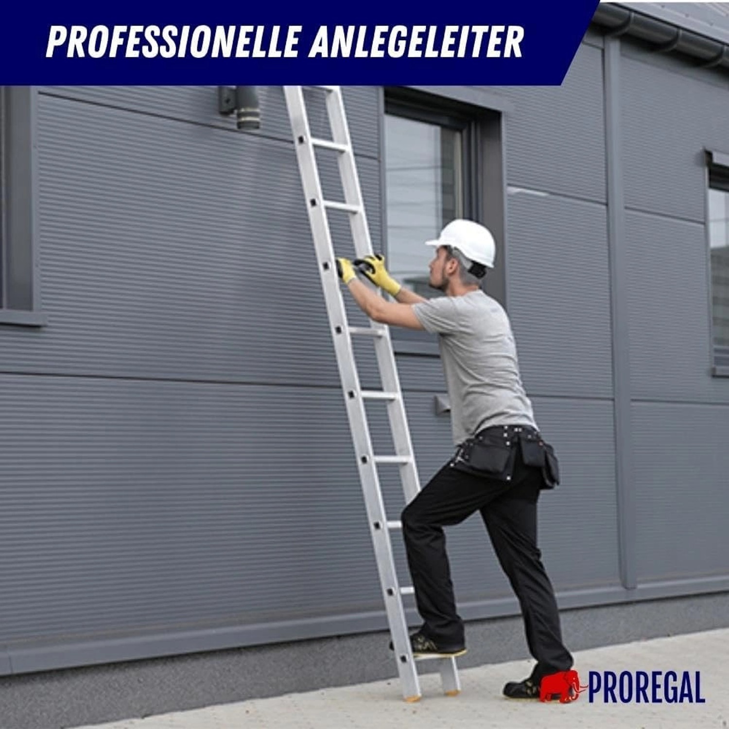 PROREGAL Anlegeleiter Economy Plus mit Mann auf Sprosse vor grauer Wand.