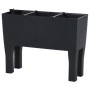 Anthrazitfarbenes furnicato Hochbeet (60x25x46 cm) aus PP-Rattan für Garten, Balkon oder Terrasse.